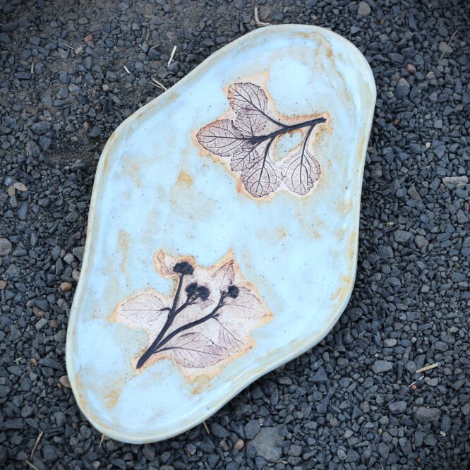 Sky Blue Impressions Tray 1.8